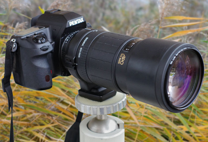 Sigma APO 1:4 300mm Tele Macro Objektiv