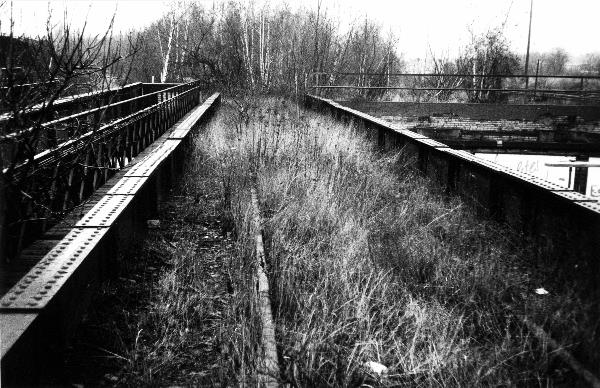 1988 – Zugewucherte Gleise über den Yorckbrücken