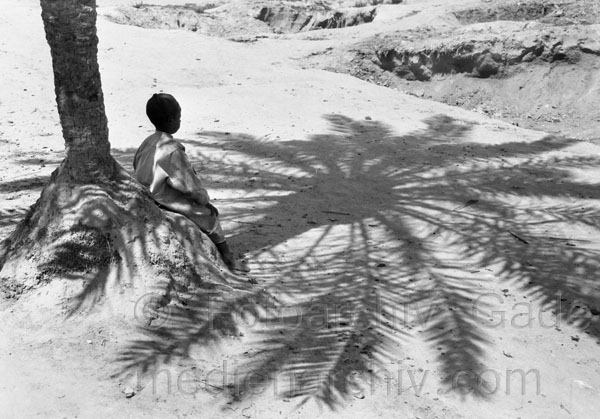 Afrika. Junge im Schatten unter einer Palme 