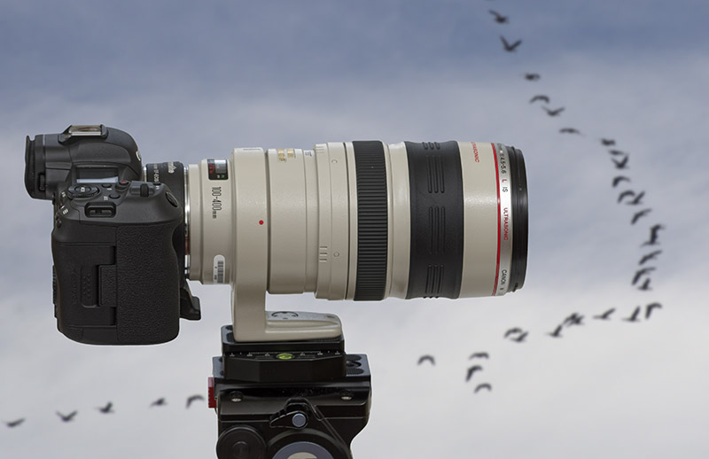Canon EF 100-400mm f/4.5-5.6 L IS USM – review, Test